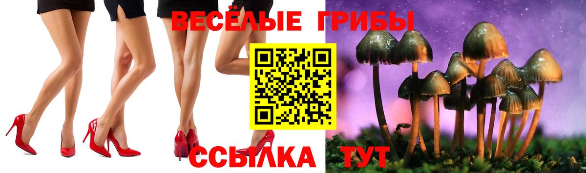 Балашиха  Псилоцибиновые грибы прущие грибы  Вход с VPN 